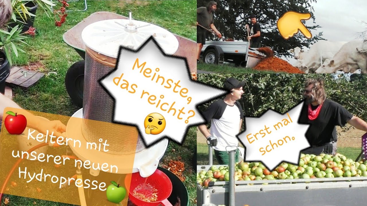 Keltern mit der Hydropresse | Apfelwein-Ebbelwoi-Äppelwoi selber machen | Bauer👨‍🌾 sucht Kuh🐄