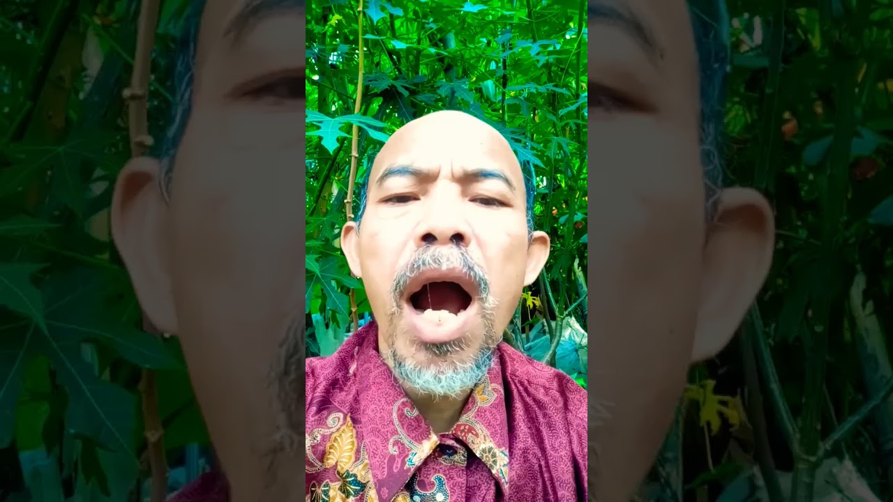 mukbang lobster #shorts #ngeshortsdulu #feedshorts