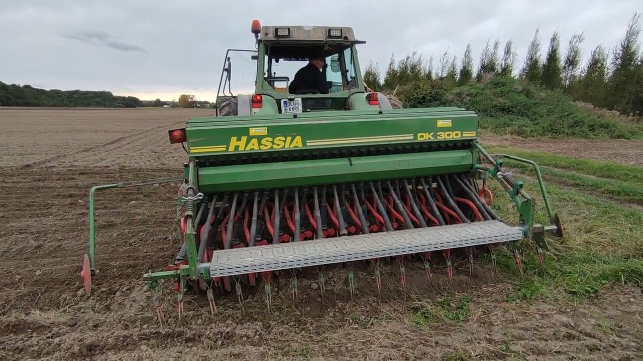 Siew Pszenżyta 2024. Fendt 250SA i siewnik Hassia DK300.