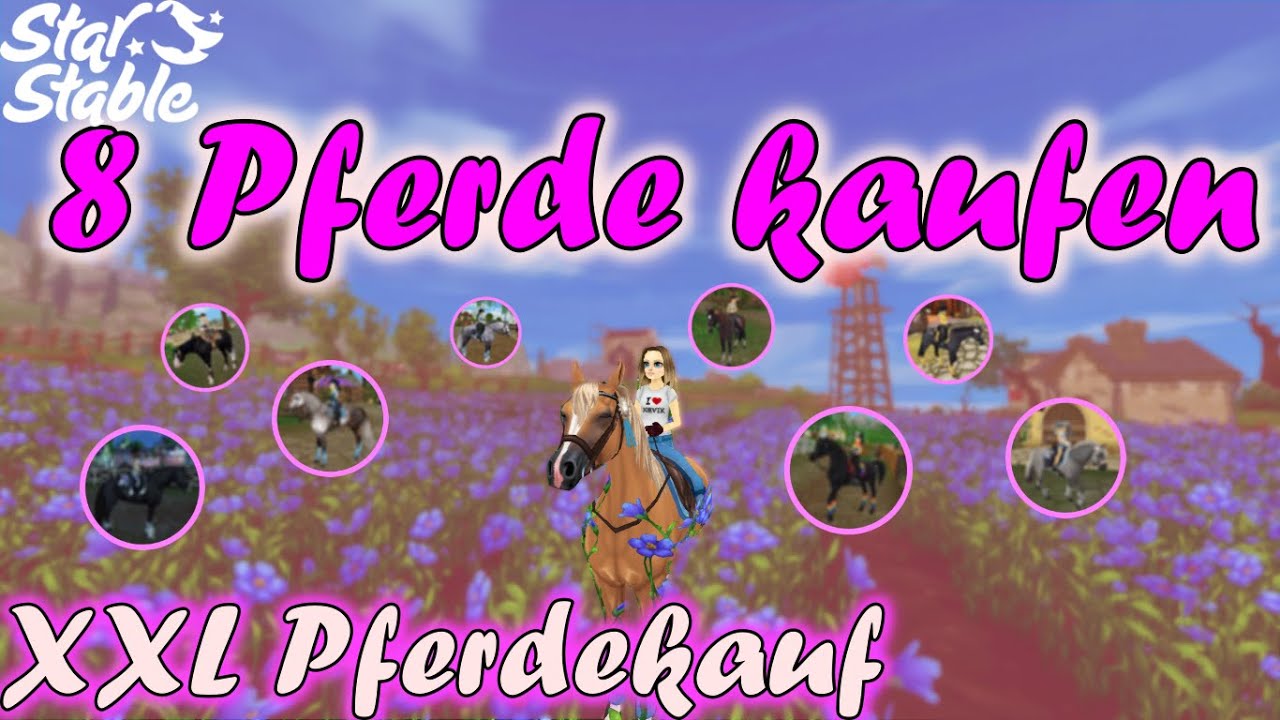 Ich kaufe ZUSCHAUERN Pferde 😍/ Pferdekauf / SSO /YouLine