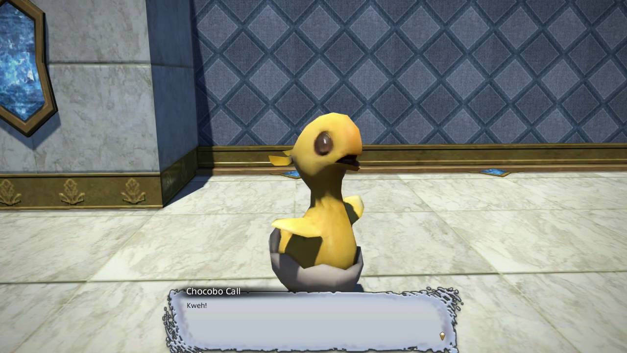 Final Fantasy XIV: Heavensward - The Rising 2016 003d - A chocobo chick!