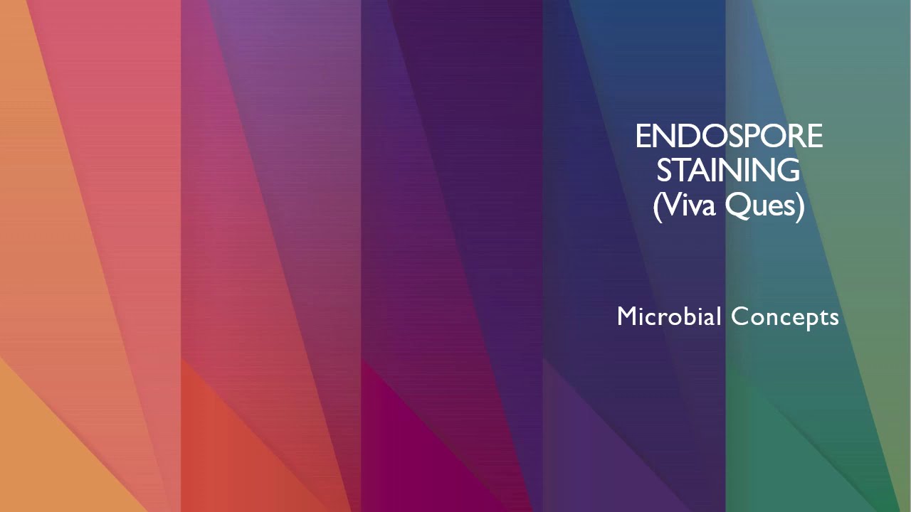 ENDOSPORE STAINING (with Viva Ques) | FY Bsc Microbiology practical series
