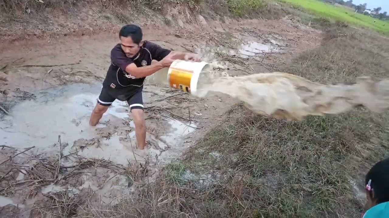 សម្បូរត្រីឡាតបងប្អូន