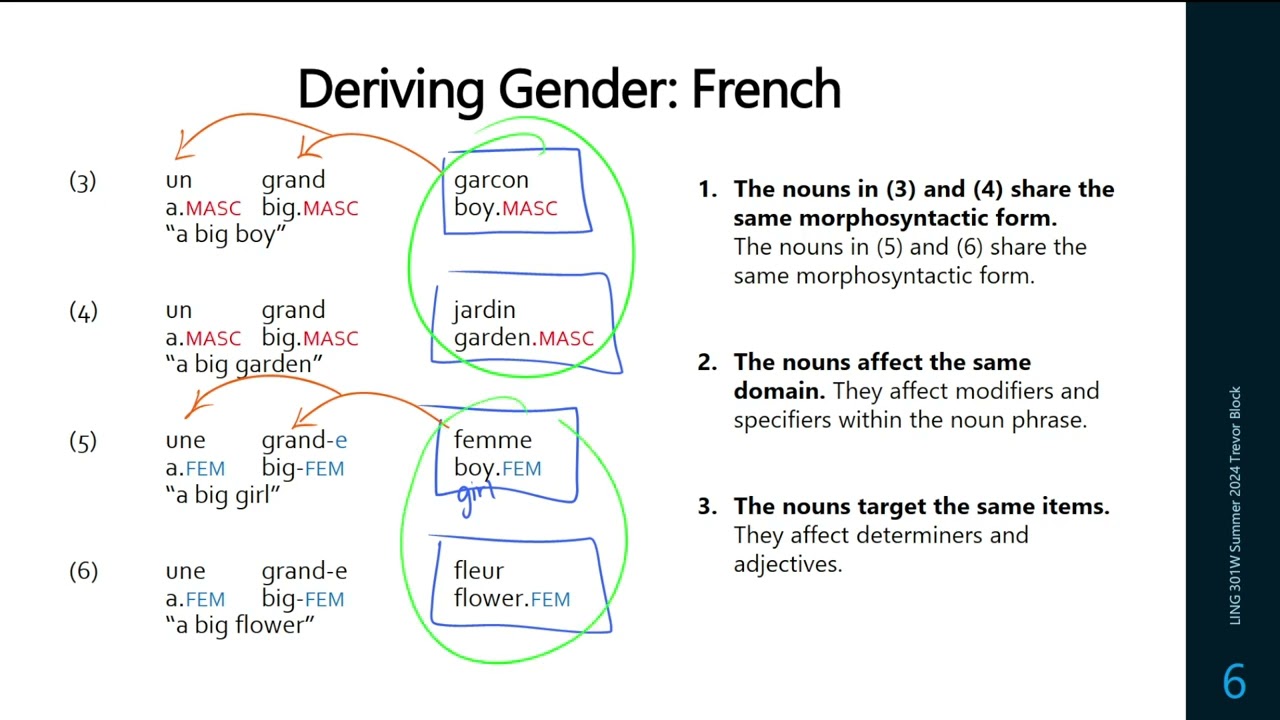 SFU LING 301W [5] Gender Systems and Classifiers