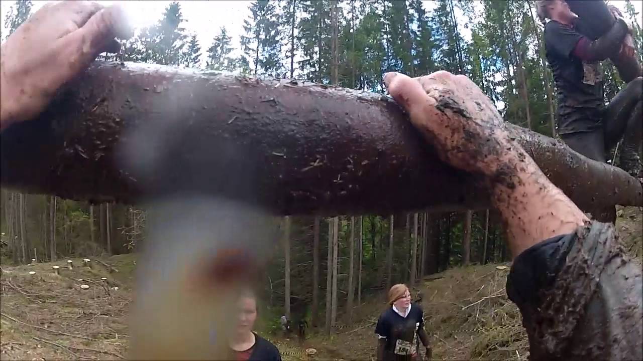 Barskingen OCR 2016