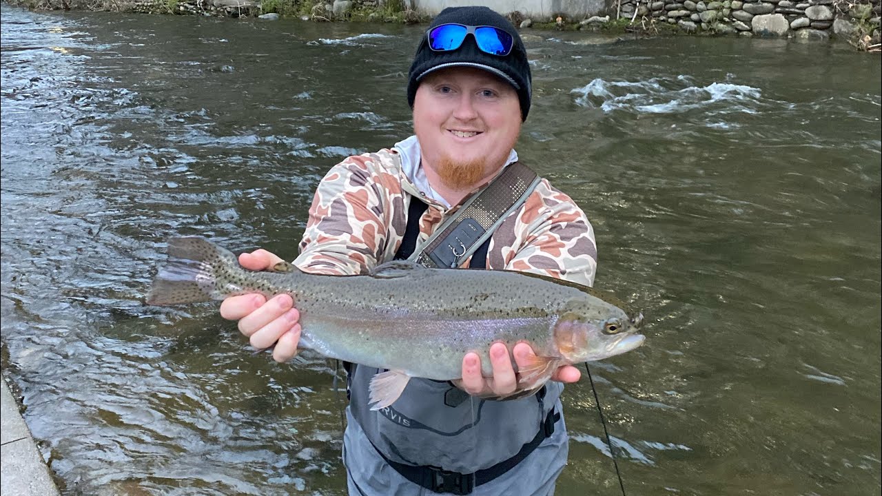 Fly Fishing downtown Gatlinburg , little Pigeon River