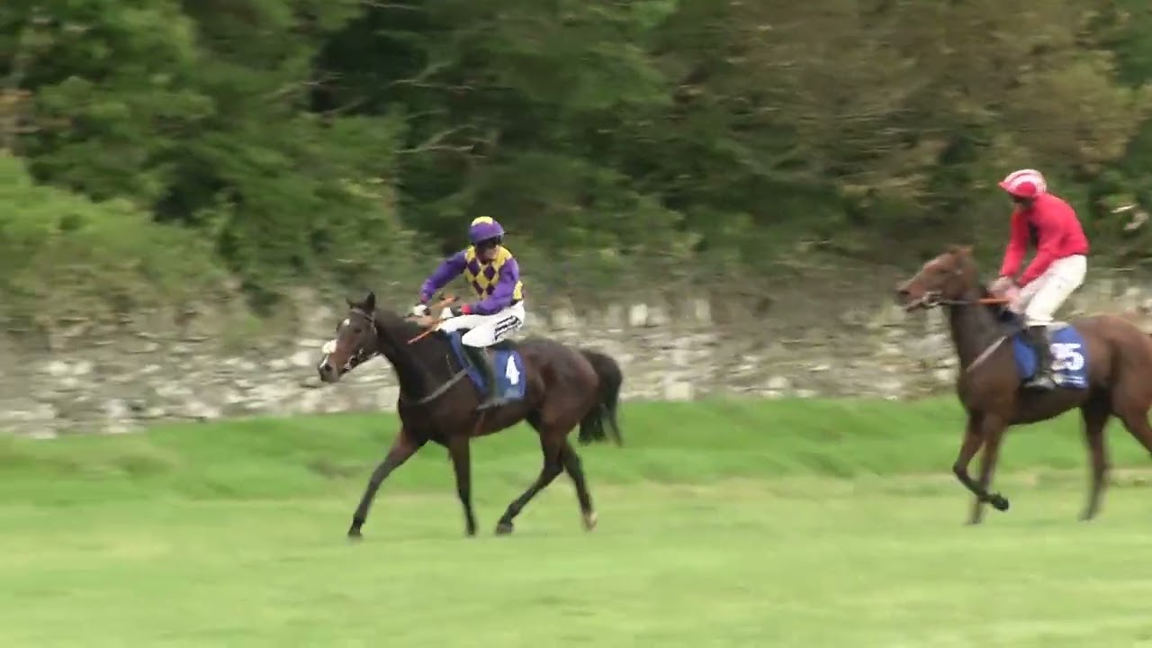 P2P - Curraghmore - 26 Oct 2025 - R2 John Flavin Horse Trainer & Laketour Stables 4yo Geldings Mdn