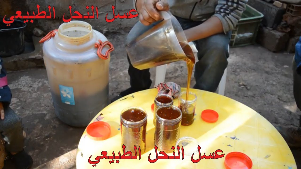 شراء العسل الحر من منطقة اغل احودجين الجبلية