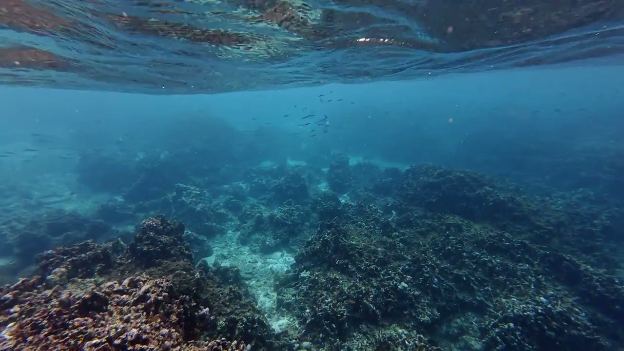 Snorkeling à Badian