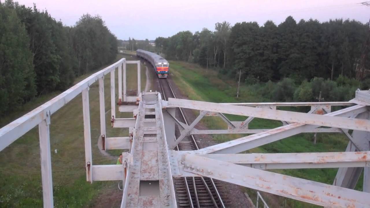 VID00605