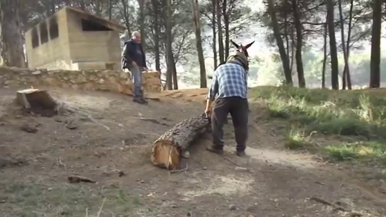 Parra, Chera. Parra arrastre de madera