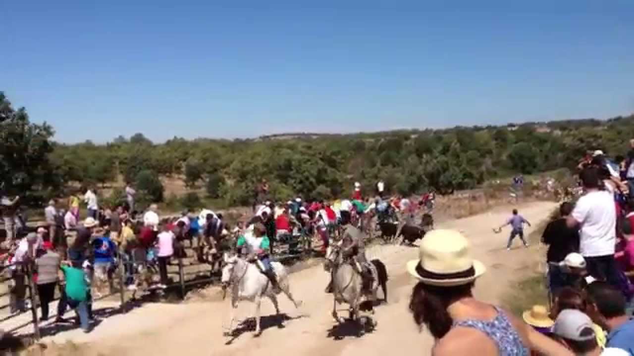 Encierros Lumbrales 2012 sabado. Subida de La Vega.