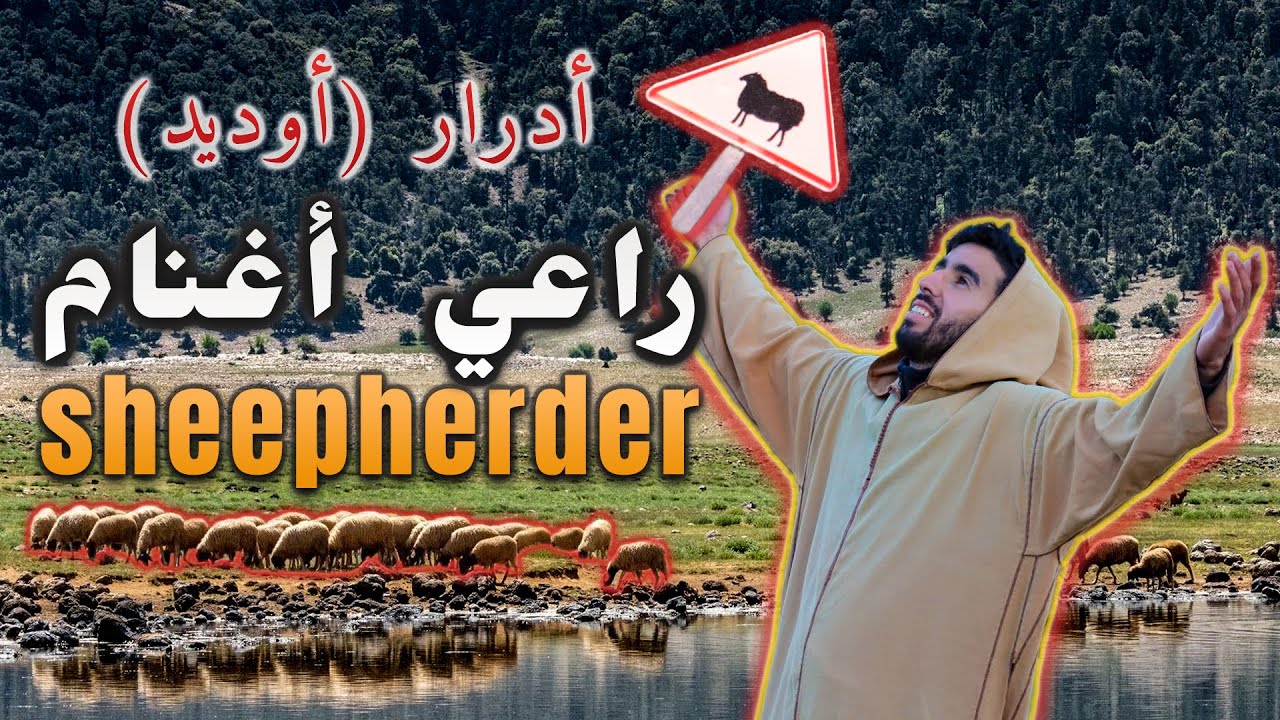 Trip to Adrar (Aoudid) 😱!!.. مشيت لأدرار باش نسرح الغنم و لكن 🐑 🇲🇦