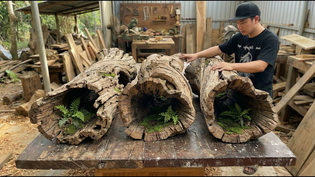 Everyone Thought It Was Just Rotten Wood… Until This Craftsman Created an Unbelievable Masterpiece