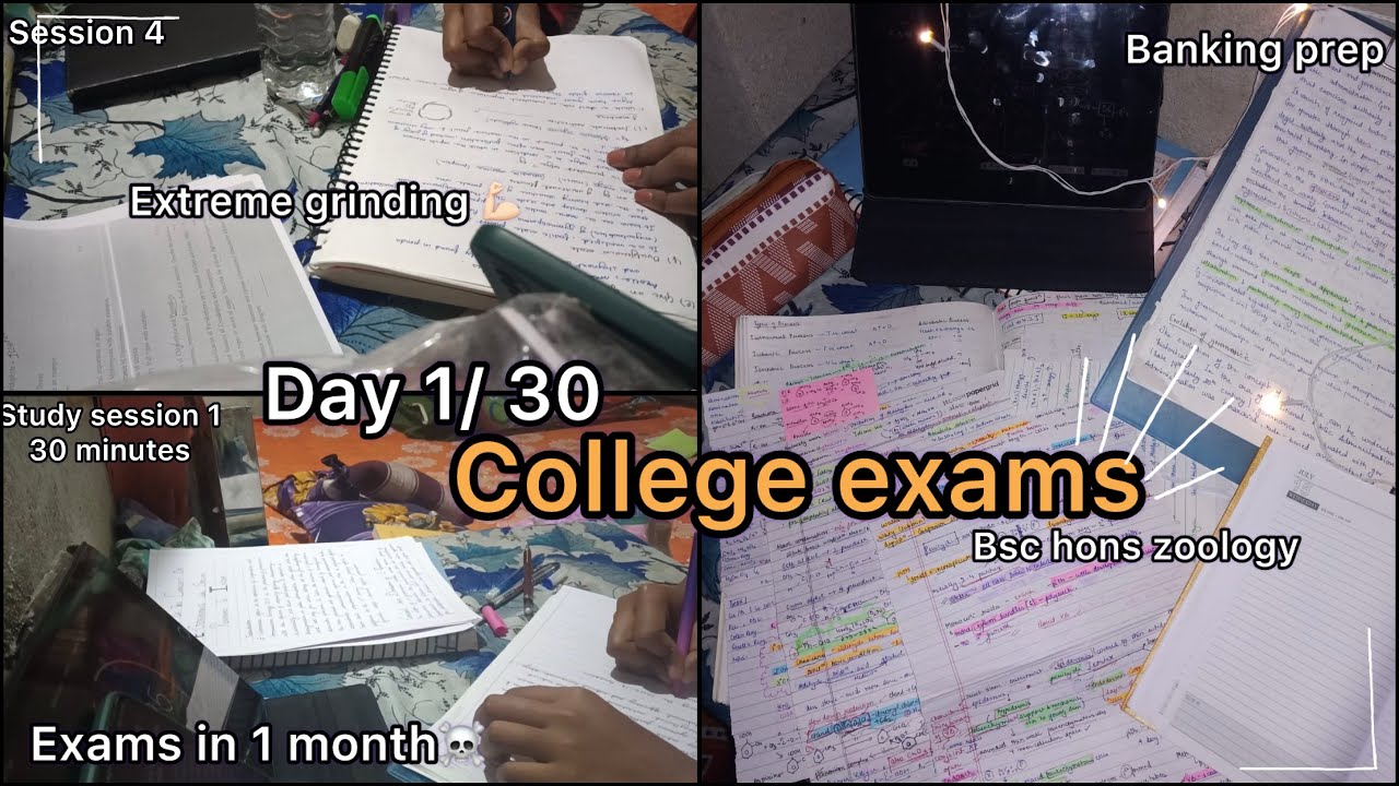 College exams in 30 days📚📕 GRINDING | Let's get serious | Honest study☠️ #study #vlog #bankingexams 
