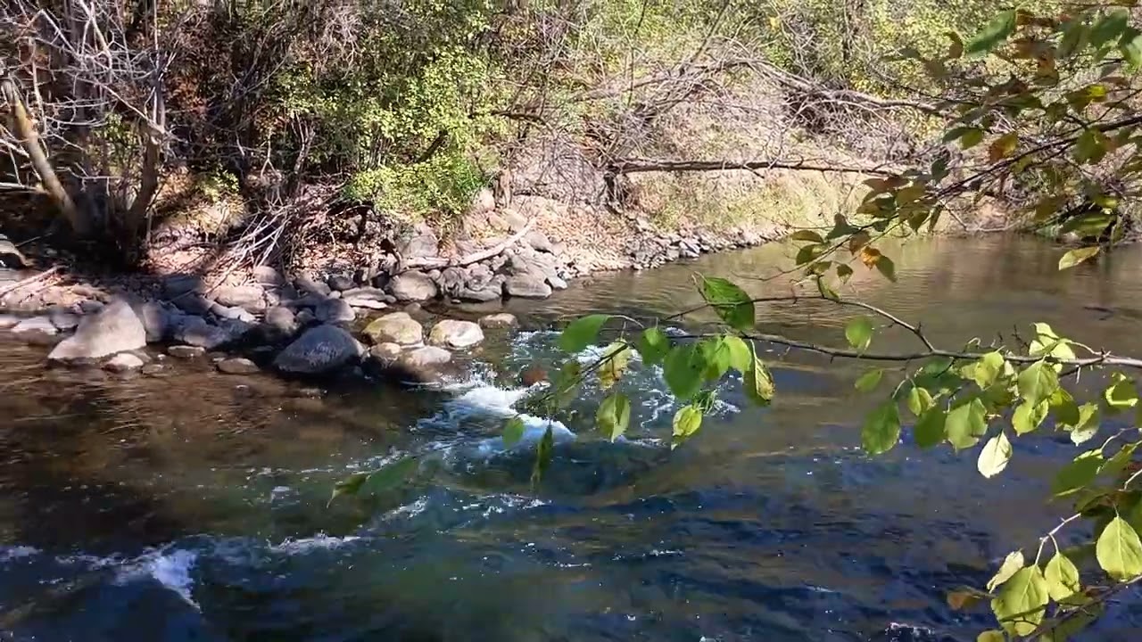 Vermillion River (19th Century Historical Old Mill Ruins) in Hastings, Minnesota in October 2025
