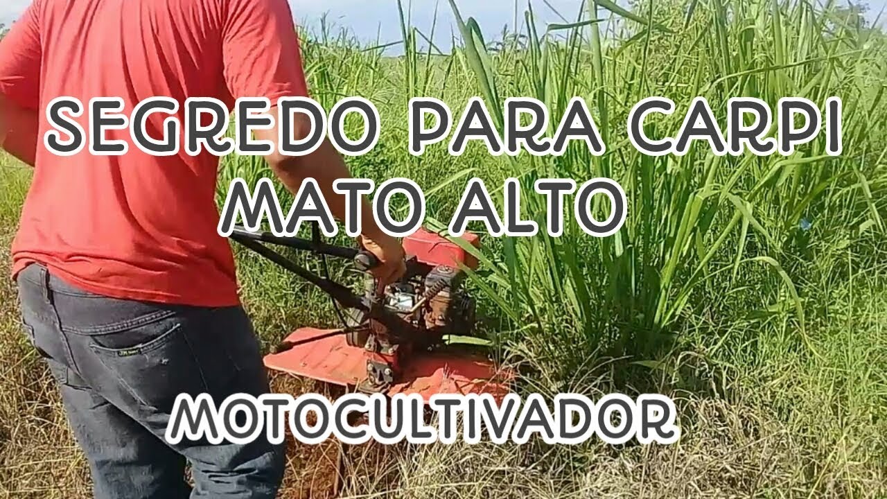 Motocultivador Tratorito (Carpindo Mato Alto)