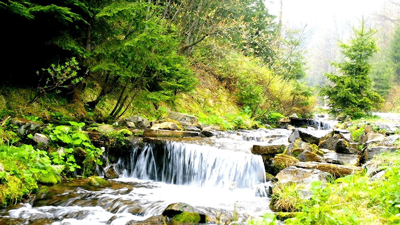 4k Beautiful Mountain Creek in Summer Forest. Water Stream, White Noise for Sleeping. 4k Ultra HD.