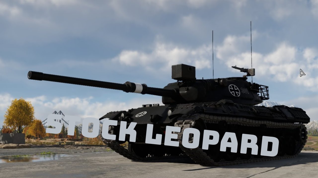 STOCK LEOPARD I EXPERINCE