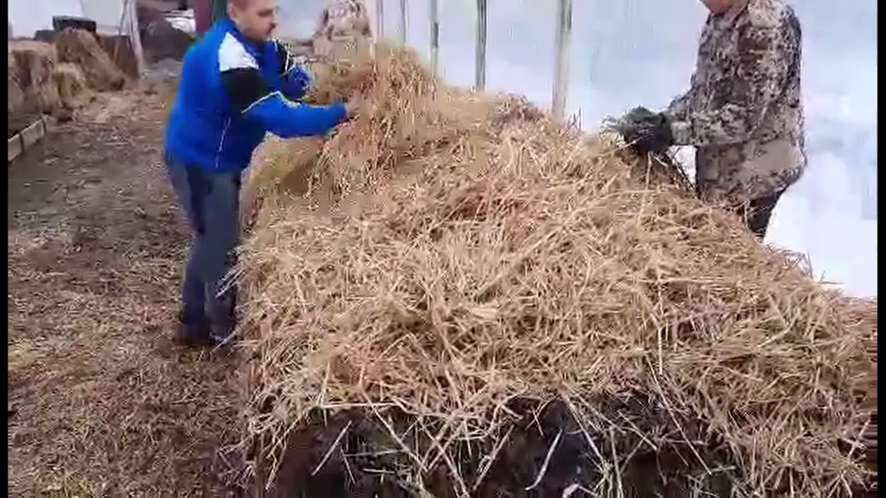 Melegágy készítése Nagydobronyban