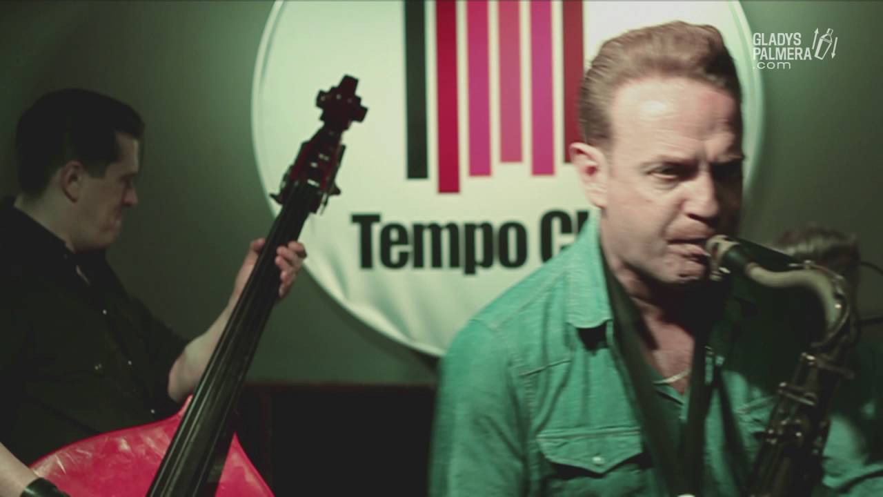 MAMBO JAMBO - Gallo de Pelea