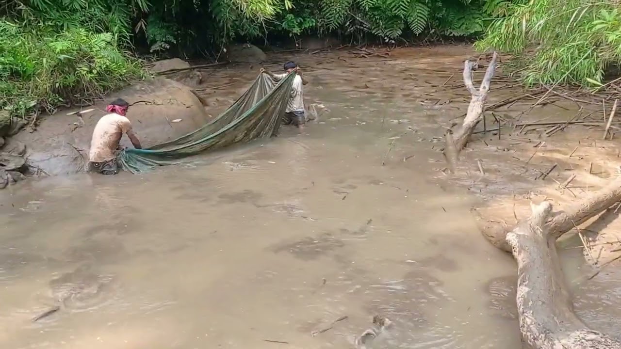 Fishing Vlog video in my fishery pond .