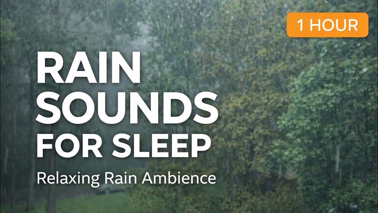 1 Hour of Relaxing Rain Sounds 🌧️ | Calm Rain Ambience for Sleep & Focus