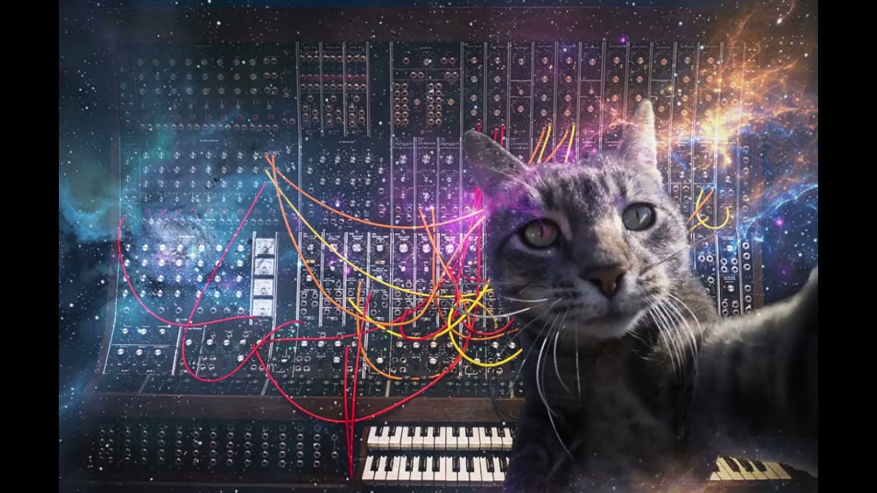 CATS LOVE DARKPSY