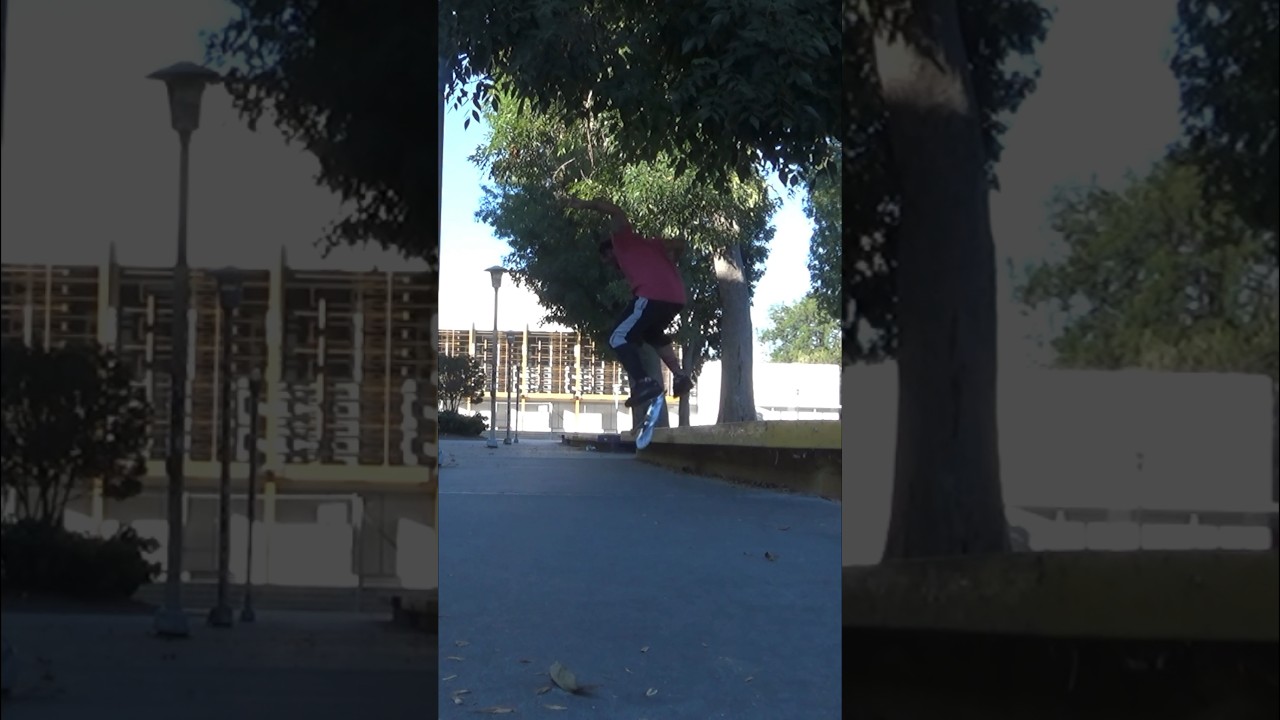 Street Skating with TWZ #skateboarding #skate #skateclips #practice #streetskating