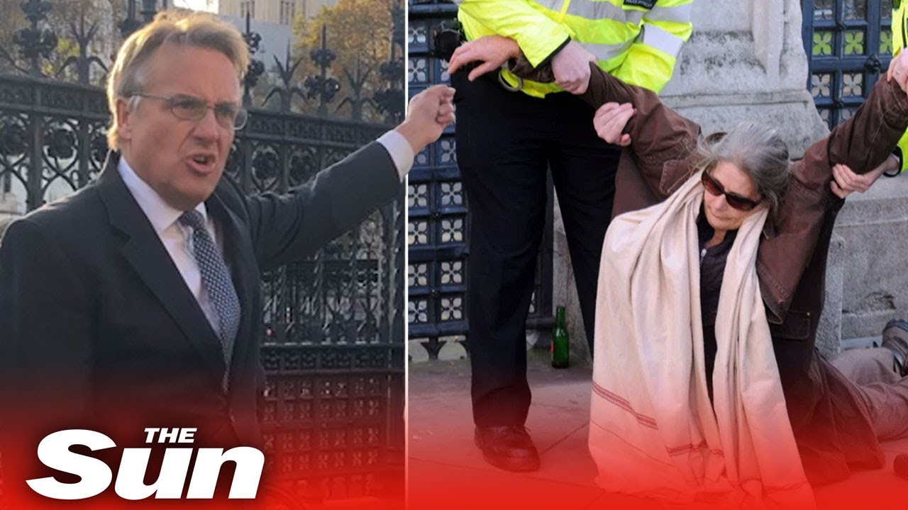 MP rages at ‘un-British’ cops as they bundle old lady in police van from lockdown protest