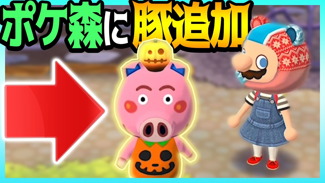 ポケ森にハムカツきたー！豚、ツラ貸せや！！！【どうぶつの森ポケットキャンプ 】