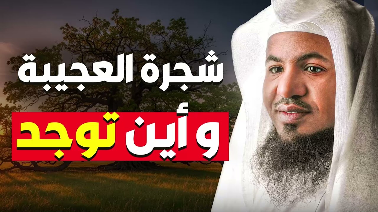 ما هي الشجرة العجيبة؟ وأين توجد تحديدًا؟ سر غريب لا يعرفه الكثير!  الشيخ محمد الشنقيطي