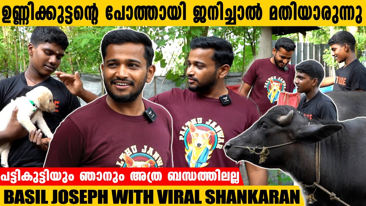 പട്ടികുട്ടിയും ഞാനും അത്ര ബന്ധത്തിൽ അല്ല !! |  Basil Joseph Exclusive Chat With Shankaran Buffalo