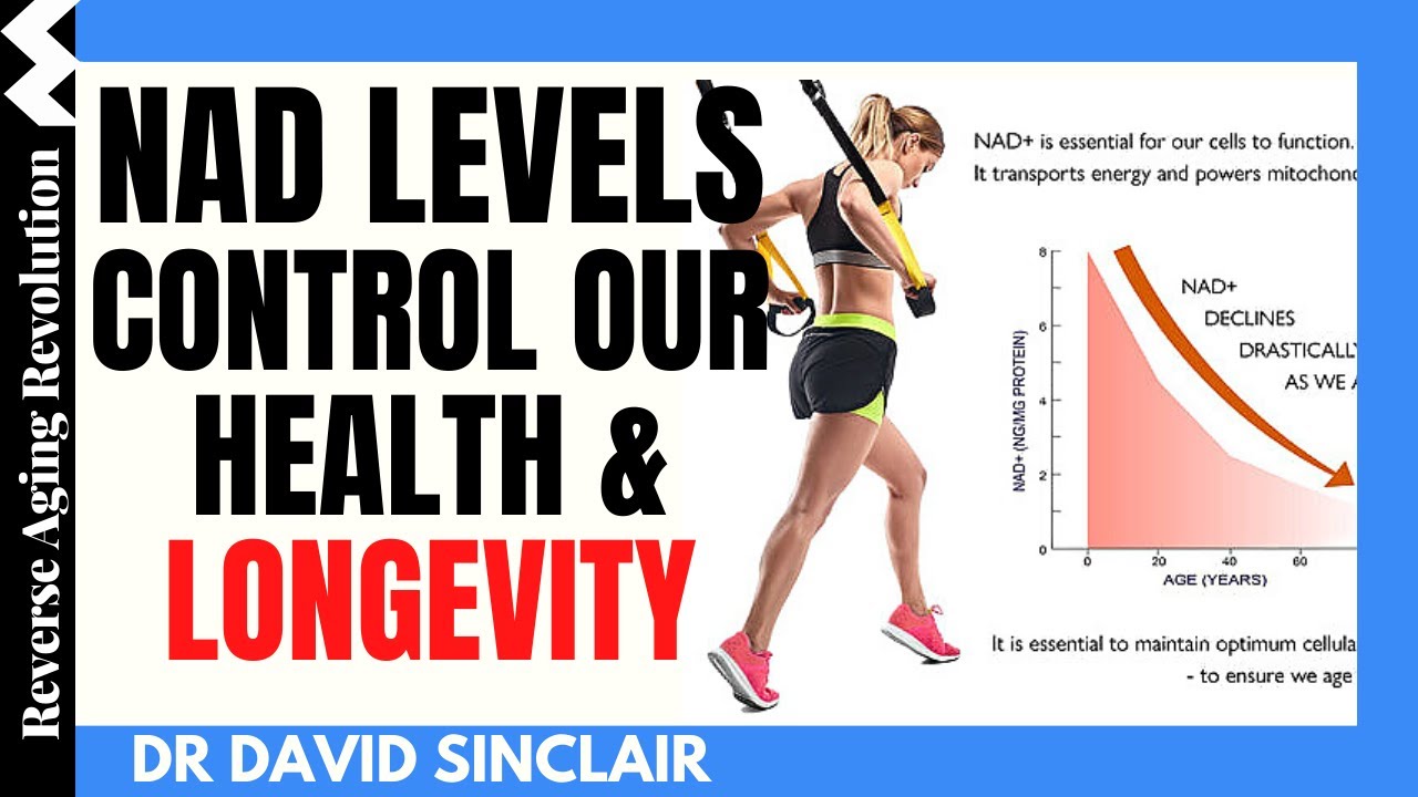 NAD LEVELS Control Our Health & Longevity - 3 WAYS to Boost It | Dr David Sinclair Interview Clips