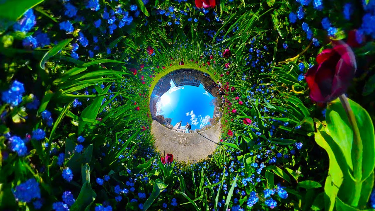 7 creative TINY PLANET videos | Insta360 X4