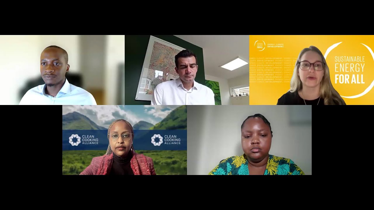 Jobs in Financing Africa's Green Transition: Careers in Climate Finance & Carbon Markets