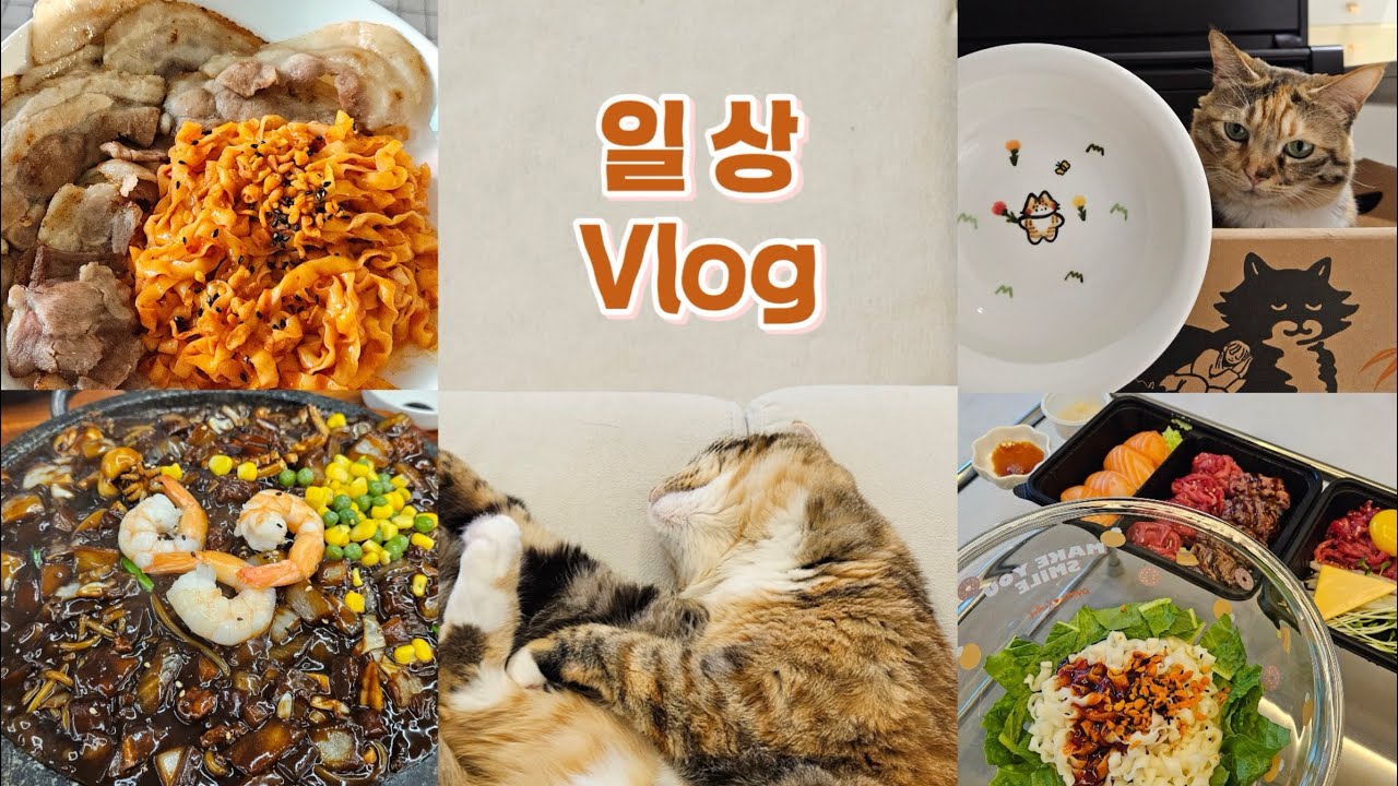 [일상 브이로그] 고양이 집사 / ‘도도해’ 고양이 식기 / 배홍동 칼빔면 /  내돈내산 전기그릴 / 포천 ‘고모리돌짜장’