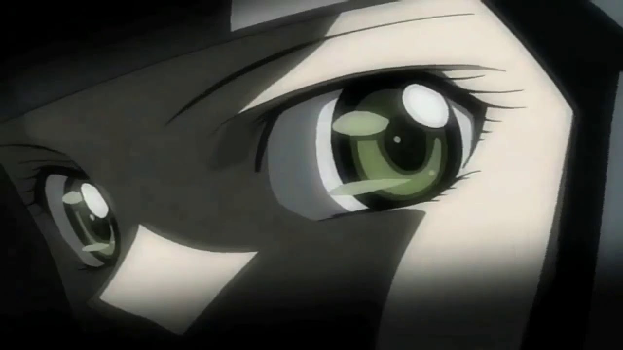 black cat  AMV (angel of darkness)