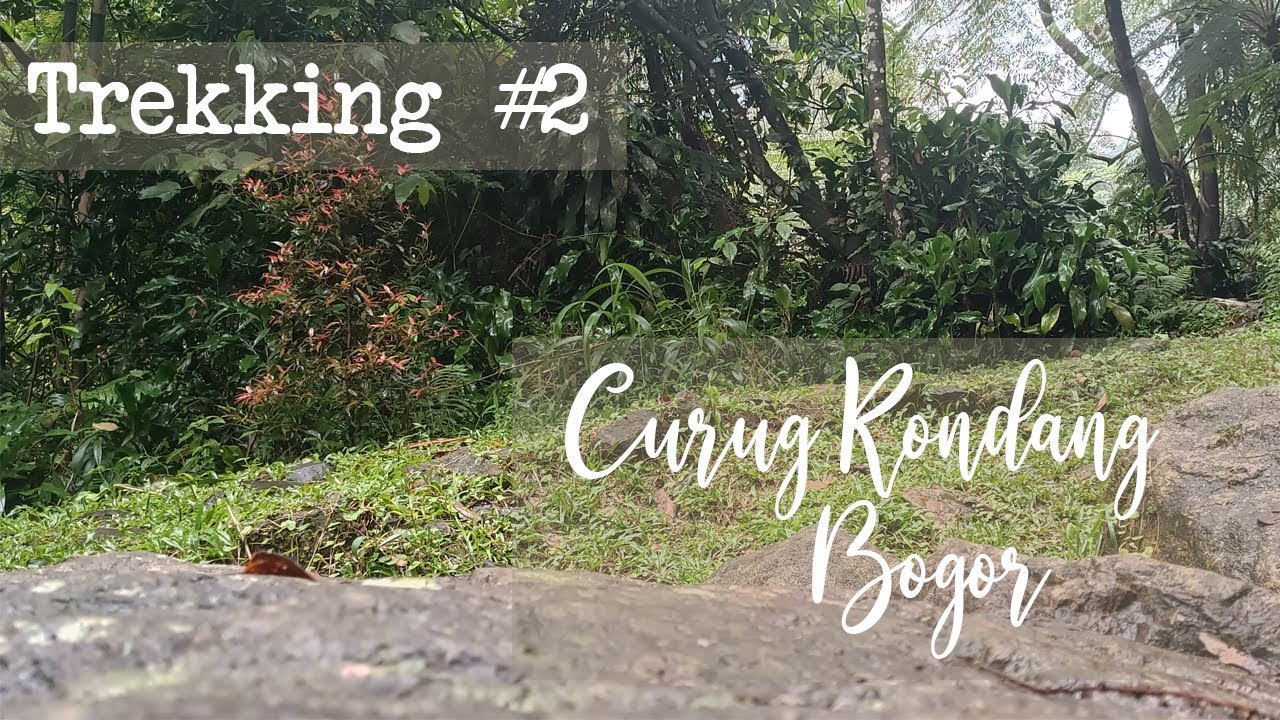 Trekking Curug Kondang Bogor | Wisata Alam curug Kondang