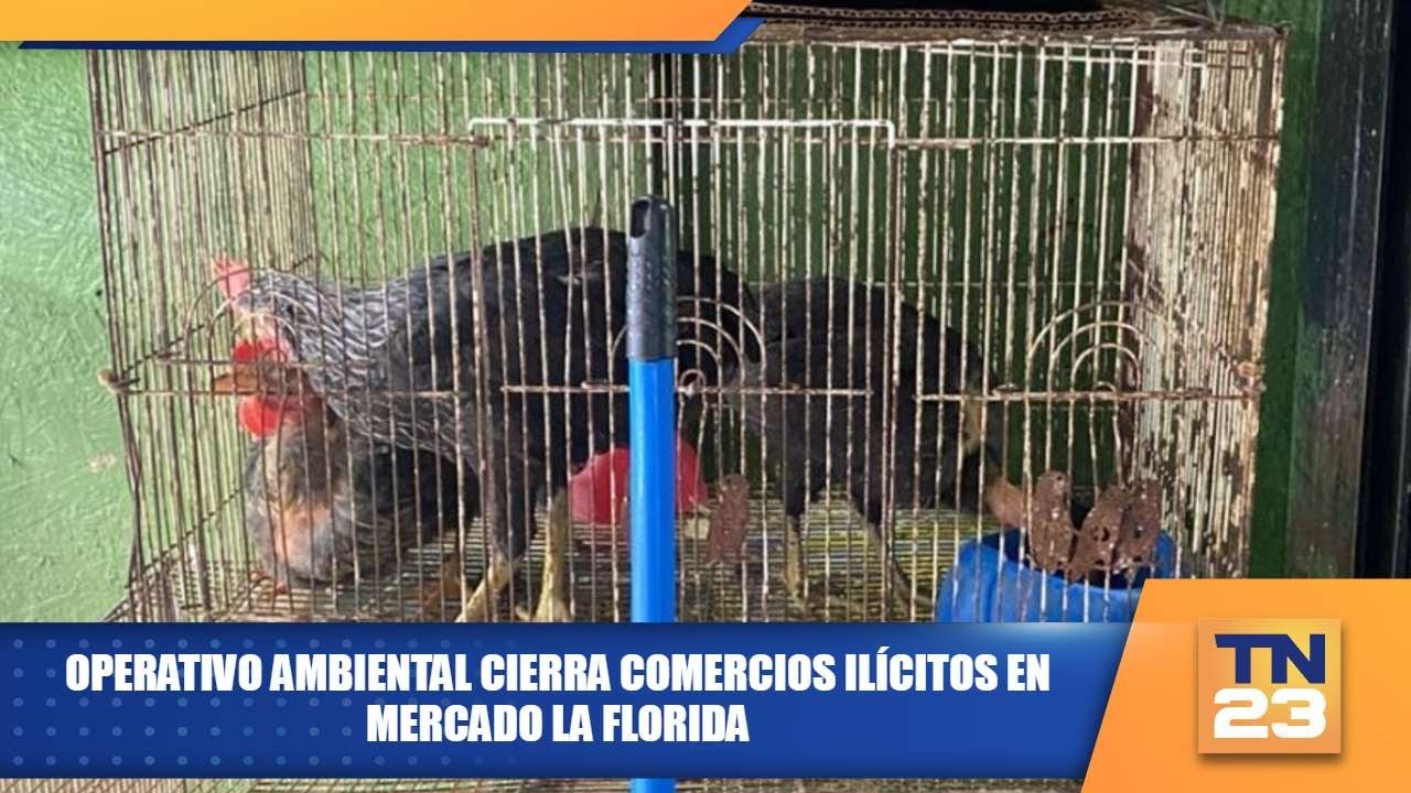 Operativo ambiental cierra comercios ilícitos en mercado La Florida