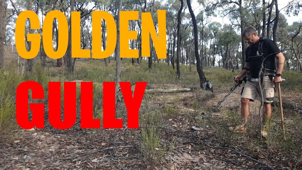 GOLDEN GULLY - Kangaroo Flat Pays Out