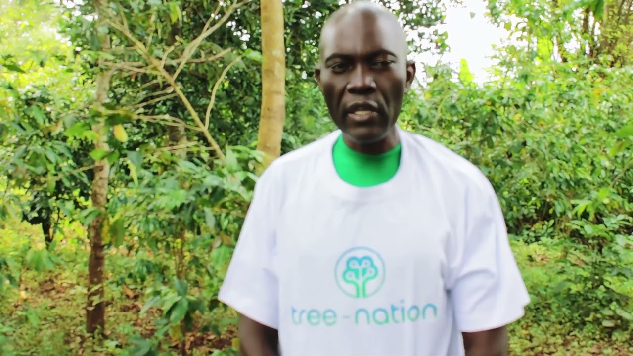 Forest Gardens - Uganda: How Agroforestry Is Rebuilding Landscapes & Livelihoods