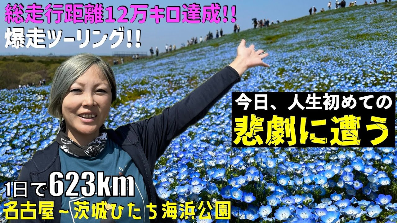 第197話【茨城・千葉】爆走！623km！名古屋からひたち海浜公園でネモフィラ〜銚子へ！ボル子さん12万キロツーリング