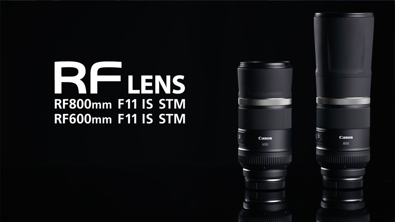 Introducing the Canon RF600mm and RF800 F11 IS STM Lenses