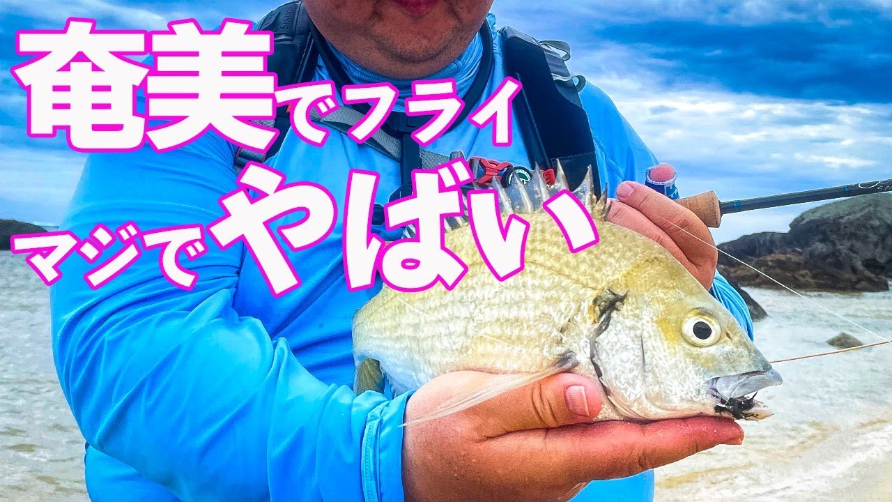 奄美大島でフライフィッシングしたら、ヤバイことになった（2023年6月）#奄美大島 #ソルトフライ #釣り