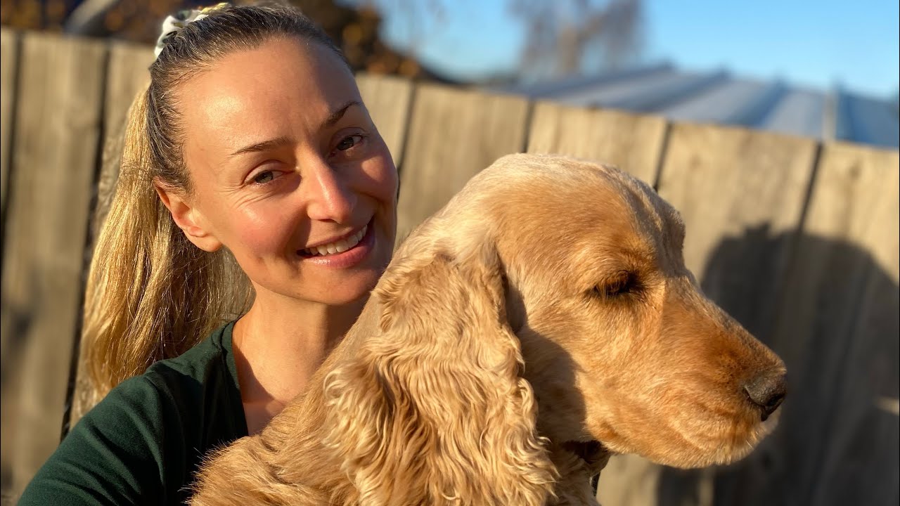 How to clean tartar off dog’s teeth | Best natural way to clean Plaque off your dog’s teeth