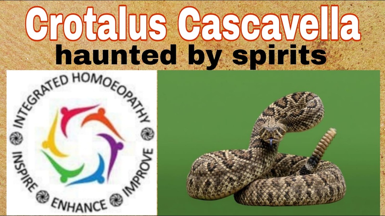 Crotalus Cascavella haunted by spirits