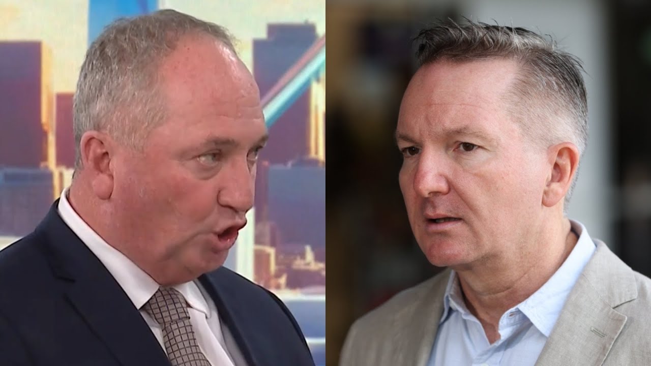 ‘We want them gone’: Barnaby Joyce blasts Chris Bowen, Climate Change and Energy Department