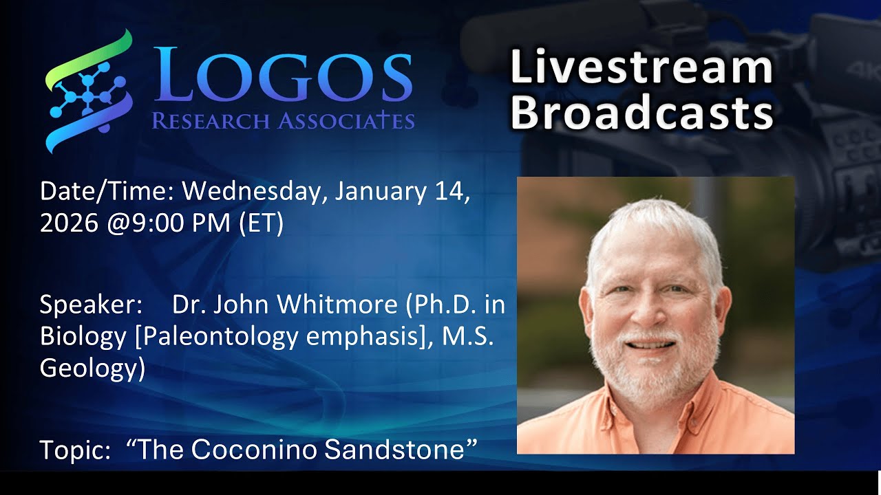 The Coconino Sandstone | Dr. John Whitmore