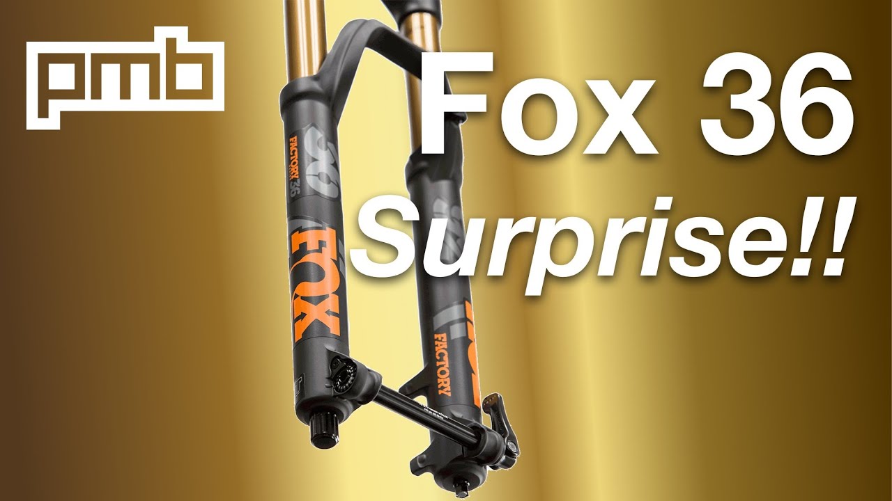 La Fox 36 Kashima qui réserve une surprise